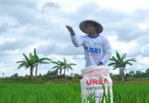 Salurkan Pupuk Bersubsidi, Kemenkop Ubah Gapoktan Jadi Koperasi FOTO: Ilustrasi Petani dan Pupuk bersubsidi (istimewa)