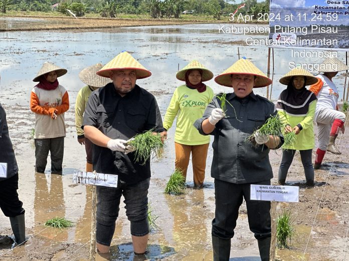 FOTO: Direktur Jenderal (Dirjen) Perkebunan, Andi Nur Alam Syah selaku Penanggung Jawab Penanganan Darurat Pangan Provinsi Kalimantan Tengah bersama Wakil Gubernur Kalimantan Tengah, Edy Pratowo beserta Forkompimda Kabupaten Pulpis serta Kelompok Tani secara simbolis melakukan penanaman perdana padi pada lokasi Kegiatan Optimalisasi Lahan Rawa di Desa Sanggang, Kecamatan Pandih Batu Kabupaten Pulang Pisau.