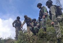 Anggota KKB, Abubakar Tewas saat Kontak Tembak dengan Aparat Gabungan TNI-Polri FOTO: Aparat Gabungan TNI Polri yang bertugas di wilayah Papua.