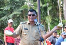 Tidak Hanya Bibit Unggul, Petani Bulukumba Juga Dibantu Pembersihan Lahan FOTO: Bupati Bulukumba Andi Utta (Dok. Pemkab Bulukumba)