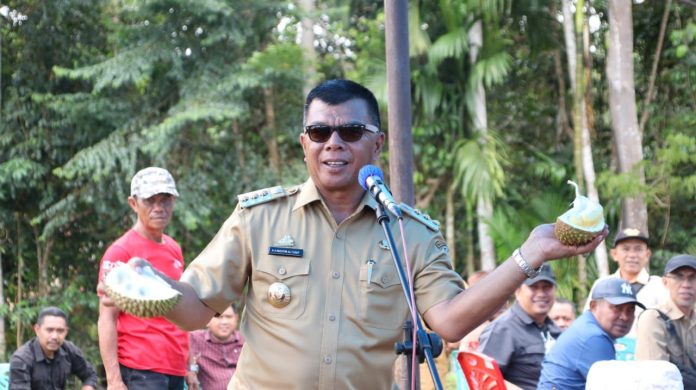 FOTO: Bupati Bulukumba Andi Utta (Dok. Pemkab Bulukumba)