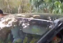 Video Viral Dokter Spesialis Diduga Selingkuh Ditangkap Suami di Makassar FOTO: Tangkap layar video viral dokter spesialis selingkuh di Makassar