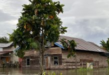 Terendam Sudah 20 Hari, Presidium KAHMI Sulsel Salurkan Bantuan di Desa Pombbak Lutra FOTO: Kondisi Desa Pombbak yang terletak di Kecamatan Malangke Barat, Kabupaten Luwu Utara, Provinsi Sulawesi Selatan. (Istimewa)