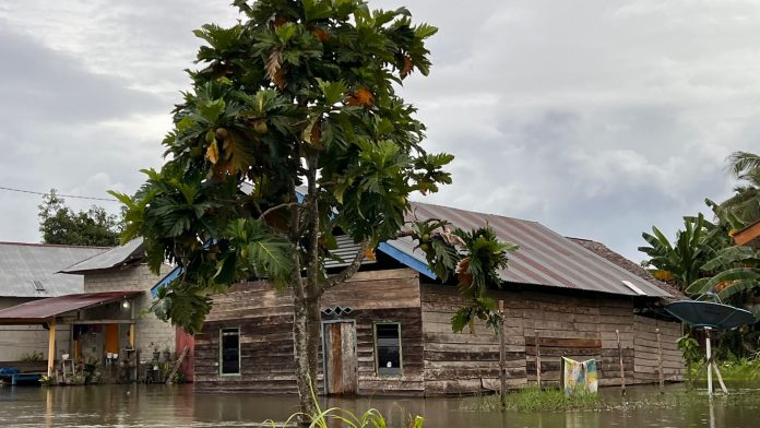 FOTO: Kondisi Desa Pombbak yang terletak di Kecamatan Malangke Barat, Kabupaten Luwu Utara, Provinsi Sulawesi Selatan. (Istimewa)