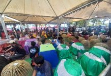 PPAKN Makassar Sukses Menggelar Alphard Cup 1, Diikuti Ratusan Peserta Dari Berbagai Daerah FOTO: Persatuan Penghobi Ayam Kontes Nusantara (PPAKN) DPC Kota Makassar sukses melaksanakan Alphard Cup 1. Ratusan ayam diikutkan dalam kontes ini, di Pantai Akkrena, Jalan Metro Tanjung Bunga Makassar, Sabtu, 25 Mei 2024.