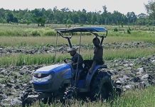 Ada 400 Hektar Lahan Persawahan orang Asli Papua Selatan Terlantar