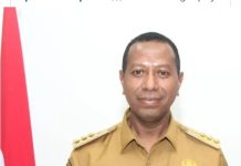 Pj Gubernur Papua Selatan: Sosok Rendah Hati dan Pelayan Rakyat FOTO: Prof. Dr. Ir. Apolo Safanpo, ST., MT. I.P.M, Penjabat Gubernur Papua Selatan (istimewa)