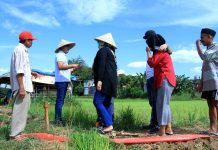 Ternyata Kota Makassar Masih Punya Areal Pertanian, Rudal Temui Petani, Beri Bantuan Sumur Bor FOTO: Rusdin Abdullah temui petani yang tergabung dalam beberapa kelompok di Kelurahan Sudiang, Kecamatan Biringkanaya, Minggu (09/06/2024).
