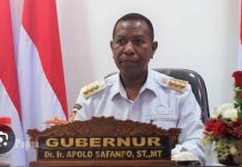 Pj Gubernur Papua Selatan Mengundurkan Diri, Ada Apa? FOTO: Penjabat Gubernur Papua Selatan Prof. Dr. Ir. Apolo Safanpo, S.T., M.T., IPM,