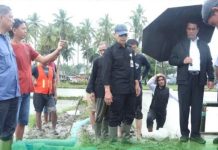 Ditengah Hujan Deras, Mentan Terjun Langsung ke Lokasi Kunker Presiden Jokowi di Bone FOTO: Mentan nampak terlihat mengatur lokasi dimana Presiden Jokowi akan berkunjung ke desa Jaling, Kecamatan Awangpone, Kabupaten Bone, Sulawesi Selatan. (Istimewa)