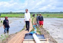Antisipasi Gelombang Panas di Juli September, Presiden Jokowi Bagi Pompa Air ke Petani di Bone dan Sinjai FOTO: Presiden Jokowi saat berkunjung di Desa Jaling, Kabupaten Bone, Sulawesi Selatan. (Muchlis Jr - Biro Pers Sekretariat Presiden)