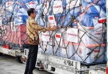 Pemerintah Indonesia Kirim Bantuan Kemanusiaan ke Papua Nugini FOTO: Presiden Jokowi saat meninjau bantuan kemanusiaan dari pemerintah Indonesia di Pangkalan TNI AU Halim Perdanakusuma. Senin, 8 Juli 2024. (Muchlis Jr - Biro Pers Sekretariat Presiden)
