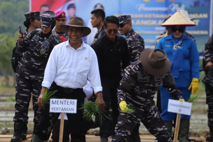 FOTO: Menteri Pertanian (Mentan), Andi Amran Sulaiman bersama Kepala Staf Angkatan Laut (KASAL), Laksamana TNI, Muhammad Ali yang diwakili Wakil Kepala Staf Angkatan Laut (Wakasal) Laksamana Madya TNI, Erwin S. Aldhedarma, Ketua Komisi IV DPR RI, Sudin dan PJ Gubernur Lampung, Samsudin melakukan gebyar panen raya padi dan jagung sekaligus tanam padi. (Dok. Kementan)