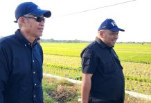 Kementan Lakukan Langkah Cerdas dan Cepat Dirjen PSP Selamatkan Darurat Pangan di Pasuruan FOTO: Direktur Jenderal Prasarana dan Sarana Pertanian Kementan, Andi Nur Alam