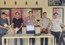 Kembali Berulah, Polsek Manggala Bubarkan Judi Sabung Ayam di Kelurahan Bitowa FOTO: Kapolsek Manggala saat menggelar barang bukti judi sabung ayam dari kelurahan Bitowa. (Istimewa)