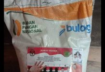 Bawaslu Diminta Tegas Usut Dugaan Bagi-Bagi Beras Bulog oleh Suami Bupati Lutra