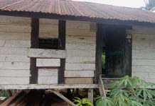Curhat Warga Di Muna Kebingungan Namanya Dicoret Sebagai penerima Bantuan Bedah Rumah FOTO: Rumah milik Algozali salah satu warga di Desa Lianosa Kabupaten Muna, Kecamatan Tongkuno Selatan kaget namanya dicoret sebagai salah satu warga yang berhak menerima BRS/Bedah Rumah. (Istimewa)