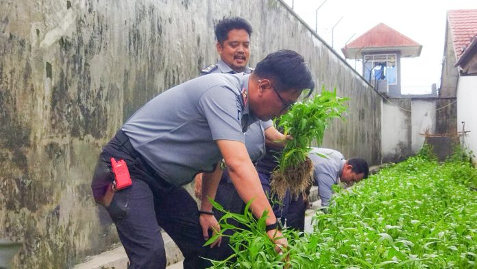 FOTO: Kepala Rutan Barru, Amsar, komitmen nyata dalam mendukung program akselerasi Menteri Imigrasi dan Pemasyarakatan, khususnya di bidang ketahanan pangan.