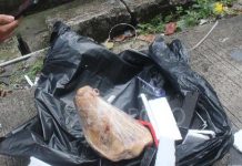 Kurir Pengirim Kepala Babi ke Jurnalis Tempo Mulai Terkuak FOTO: Paket berisi kepala babi yang ditujukan kepada wartawan Tempo, Francisca Christy Rosana di kantor Tempo, Palmerah, Jakarta, 20 Maret 2025. (Tempo/Gunawan Wicaksono)