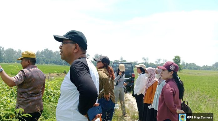 FOTO: Saipul Amri Kelang, yang merupakan putra daerah setempat, bersama kuasa hukumnya dari R&P Law Firm Medan tinjau lahan sengketa tanah di Dusun III Pematang Kelang, Desa Sei Naga Lawan, Kecamatan Perbaungan, (23/3).