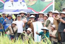 Presiden Panen Raya Padi Nasional, Pemkab Lutim Ikut Serta FOTO: Wakil Bupati Luwu Timur, Hj. Puspawati Husler bersama kelompok Tani Baru Muncul, Desa Tawakua, Kecamatan Angkona, didampingi unsur Forkopimda, Kepala BBPP Batangkaluku, Anggota DPRD Muh. Iwan, Staf Ahli Pembangunan, sejumlah Kepala OPD, Camat Angkona, Pimpinan Cabang Bulog Palopo, serta para petani dan penyuluh pertanian. (Properti Kominfo Luwu Timur)