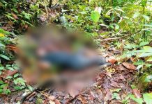 3 Jasad Teridentifikasi, Total 15 Warga Sipil Korban Pembantaian KKB FOTO: Salah satu dari 11 penambangan emas tradisional yang tewas terbunuh oleh TPNPB OPM. Jubir TPNPB OPM sebut militer Indonesia. (Properti: TPNPB).