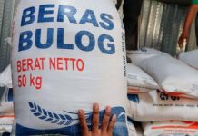 Pengamat Ekonomi UNUSIA Sebut Petani Lebih Memilih Tengkulak Ketimbang Bulog FOTO: Ilustrasi Beras Bulog (istimewa)