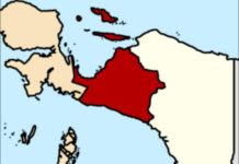 Padahal ada Tambang Raksasa, Ekonomi Papua Tengah Jadi yang Terburuk di Indonesia FOTO: Peta Provinsi Papua Tengah (Warna Merah). ( Properti via Wikipedia Indonesia)