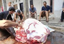 KNPI Makassar Lakukan Penyembelihan Hewan Kurban di Panti Asuhan FOTO: Plt KNPI Makassar Syamsul Bahri Majjaga dan Pengurus saat melakukan penyembelihan hewan kurban ini dilakukan di Panti Asuhan Usamah, Jalan Andi Tonro IV lorong 4, Pa'baeng-baeng, Kecamatan Tamalate, Senin, (09/6).