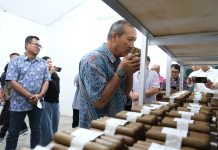 Pabrik Cerutu Tembakau Deli Diresmikan, Siap Bertarung di Pasar Global FOTO: Region Head PTPN 1 Regional 1 Didik Prasetyo saat melihat langsung produksi cerutu (cigar) yang diproduksi oleh Deli Nusantara Cigar Factory. Pabrik tersebut berada di Tandem Hulu, Kecamatan Hamparan Perak, Kabupaten Deli Serdang. (Istimewa)