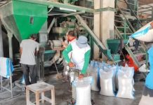 Pengamat Pertanian, Beras Oplosan Sebenarnya Tidak Masalah, Asalkan? FOTO: Ilustrasi penggilingan padi (Properti via Google)