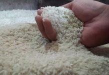 Ombudsman RI Sebut Akibat Maladministrasi Tata Kelola CBP Kerugian Negara Ditaksir Capai Rp7 Triliun FOTO: Ilustrasi Beras (istimewa)