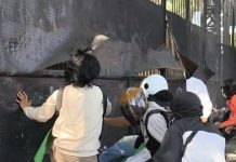Sebanyak 40 Dapur MBG Ditutup Sepihak, HMI Geruduk Kantor DPRD Sulsel FOTO: Puluhan kader Himpunan Mahasiswa Islam (HMI) Badan Koordinasi (Badko) Sulawesi Selatan menggelar aksi unjuk rasa di depan Kantor DPRD Sulsel, Jalan Urip Sumoharjo, Makassar, Jumat (15/8/2025). (Istimewa)