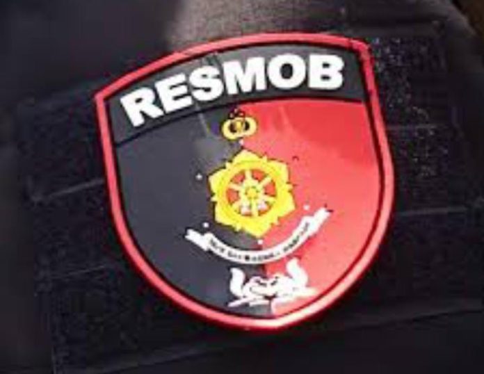 IMG-20250818-WA0003 FOTO: Ilustrasi Logo Resmob