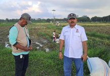 Tani Merdeka Indonesia Deli Serdang Ubah Lahan Kosong Jadi Lumbung Pangan Produktif FOTO: Kanan, H. Khoirun Rijal, Ketua Tani Merdeka Indonesia Kabupaten Deli Serdang.