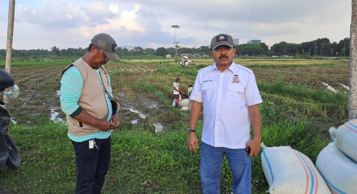 FOTO: Kanan, H. Khoirun Rijal, Ketua Tani Merdeka Indonesia Kabupaten Deli Serdang.