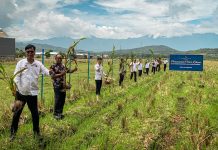 Rutan Kelas IIB Barru Tanam Pohon Kelapa, Dukung Ketahanan Pangan Nasional FOTO: Rumah Tahanan Negara Kelas IIB Barru melaksanakan kegiatan penanaman pohon kelapa sebagai bagian dari gerakan nasional mendukung ketahanan pangan.