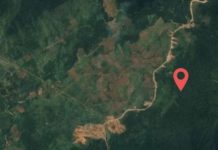 Sewa Lahan Rp226 per Meter per Tahun, Warga Lutim Pertanyakan MoU Pemkab dengan PT IHIP FOTO: Ilustrasi lahan di Desa Harapan, Kabupaten Luwu Timur.