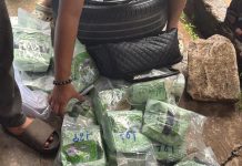 Polda Riau Gagalkan Penyelundupan 30 Kg Sabu di Pelabuhan Dumai FOTO: Tim gabungan Direktorat Reserse Narkoba (Ditresnarkoba) Polda Riau bersama Pangkalan Angkatan Laut (Lanal) Dumai menggagalkan upaya penyelundupan narkotika jenis sabu seberat 30 kilogram di Pelabuhan Roro Dumai, Kota Dumai, Minggu (12/10).