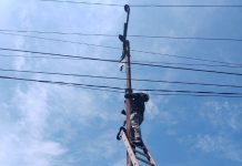 Tingkatkan Keandalan Layanan, PLN Icon Plus Tuntaskan Pengamanan Jaringan Kabel