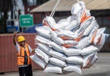 Kepala BPKS Angkat Bicara Soal Tudingan Beras Impor Ilegal di Sabang FOTO: Ilustrasi beras impor masuk ke Indonesia (Nova Wahyudi/ANTARA)