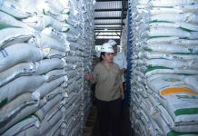 Mbak Tutut dan Komisi IV DPR Sidak Gudang Bulog Mataram FOTO: Ketua Komisi IV DPR RI Siti Hediati Soeharto atau Mbak Tutut memimpin Tim Kunjungan Kerja Spesifik Komisi IV DPR meninjau kualitas dan stok beras di Gudang Bulog Mandalika di Jalan Sandubaya No.5 Mandalika Kec. Cakranegara Kota Mataram, Provinsi Nusa Tenggara Barat, Selasa (11/11/2025).