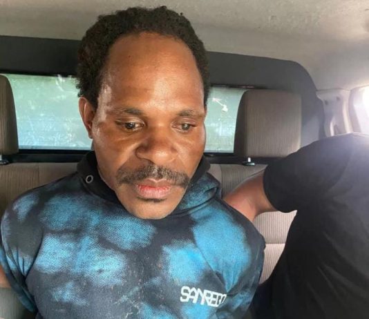 Dikenal Kejam, Komandan KKB Penembak 2 Anggota Brimob Ditangkap FOTO: Jayainus Pogau alias Supi Pogau saat diamankan pihak Satuan Tugas Operasi Damai Cartenz. (Istimewa)