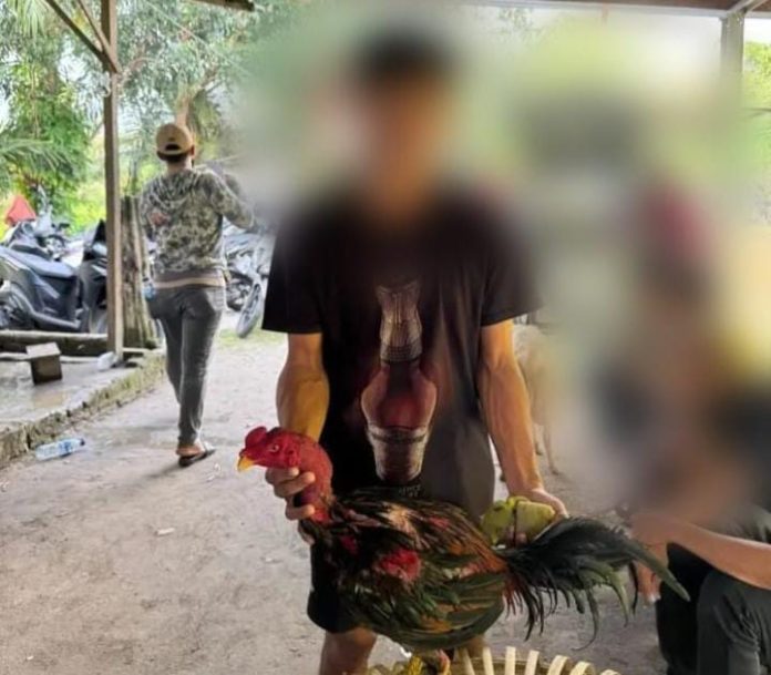 FOTO: Salah satu warga yang sedang berada di lokasi Sabung ayam di di Gang Sejati, Ladang Bambu (dekat kolam), Kecamatan Medan Tuntungan, Kota Medan. Sabtu (14/2/2026). (Istimewa)