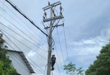 Gerak Cepat dan Terukur, PLN Icon Plus Pastikan Pemulihan Jaringan Berjalan Optimal