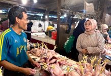 Stok Aman, Harga Harus Wajar: Pemerintah Turun Tangan Stabilkan Ayam Ras FOTO: Pedagang Ayam ras di salah satu pasar di kota Jakarta. (Dok. Kementan)