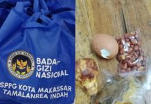 Tak Penuhi Standar Gizi, Desakan Agar BGN Tutup SPPG Tamalanrea Indah FOTO: Kolase MBG Milik SPPG Kota Makassar Tamalanrea Indah. (Istimewa)