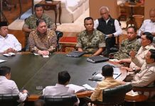 Indonesia Kuat Hadapi Krisis Global, Presiden Prabowo: Pangan Kita Aman