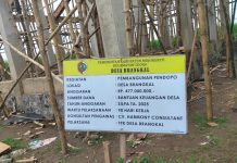 Dugaan Penyelewengan Anggaran Material Semen di Proyek Pendopo Desa Brangkal Mojokerto Senilai Rp 477 Juta FOTO: Papan Informasi proyek pembangunan pendopo di Desa Brangkal, Kecamatan Sooko, Kabupaten Mojokerto, Jawa Timur.