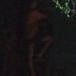 Gangguan WiFi di Malam Hari, Teknisi PT Bach Multi Global Diduga Langgar Prosedur K3 Img 20260416 Wa00301